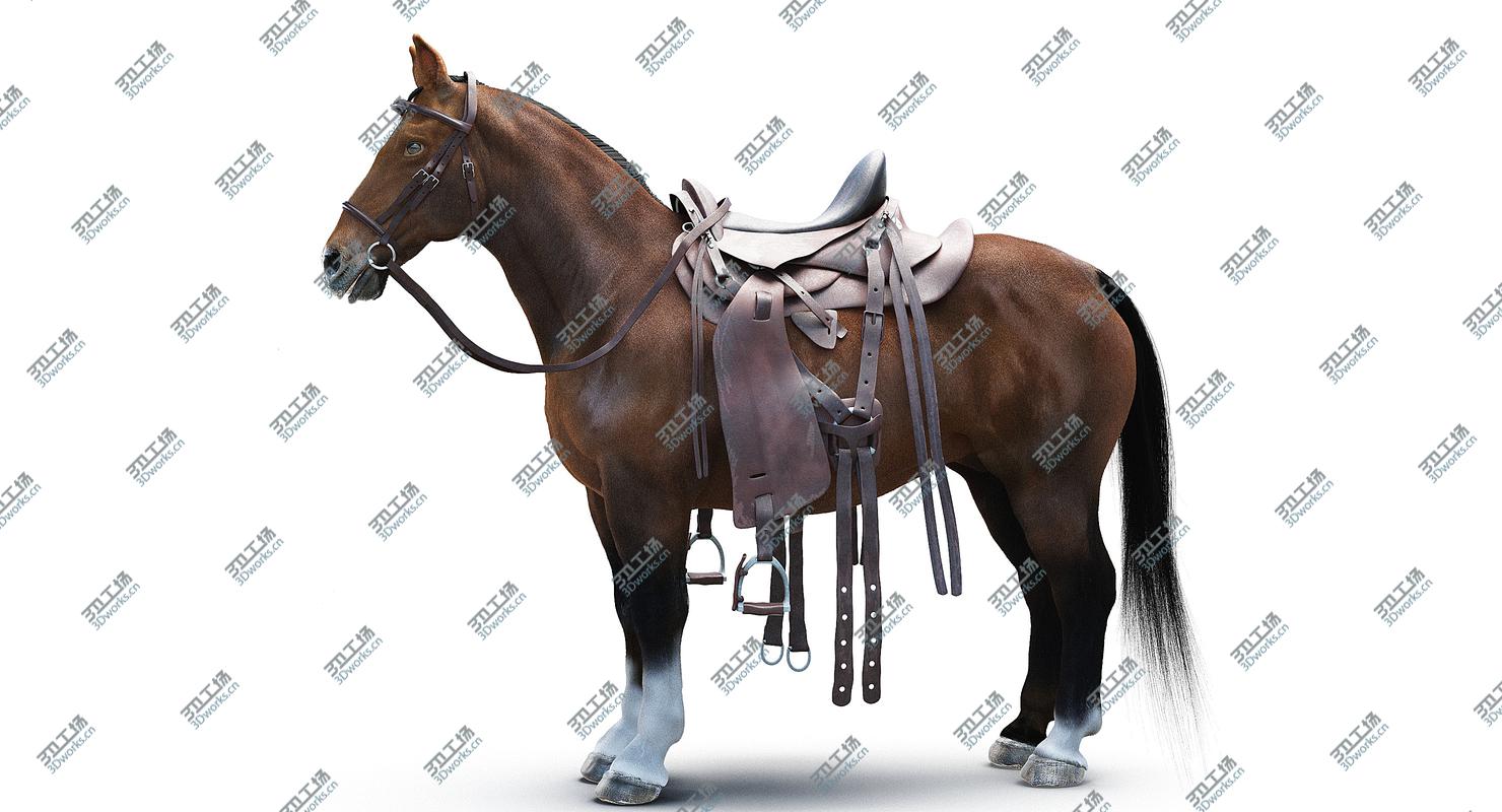 images/goods_img/2021040233/Horse with Saddle/3.jpg